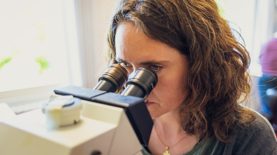 Maria Pihlmann kigger i mikroskop 