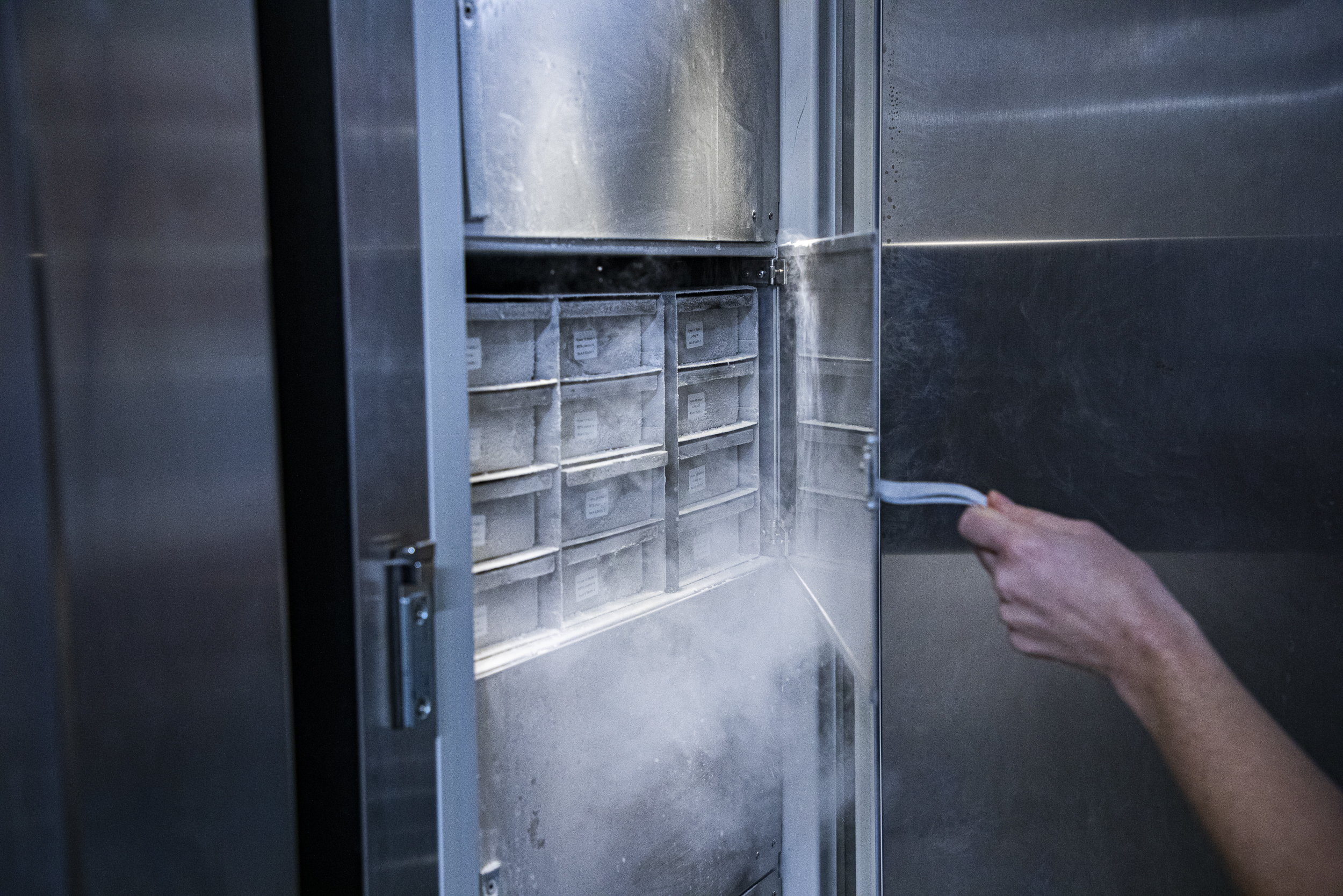 Hånd åbner dør til biobank