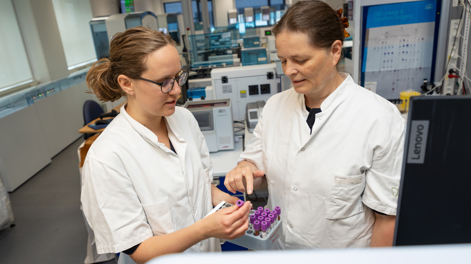 Forskere kigger på blodprøve