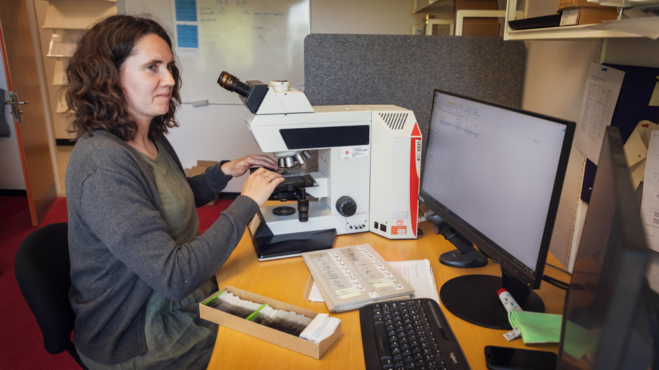 Maria Pihlmann Kristensen på kontoret.