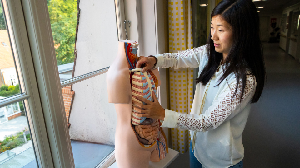 Sara Witting kigger på lunger på en dukke.