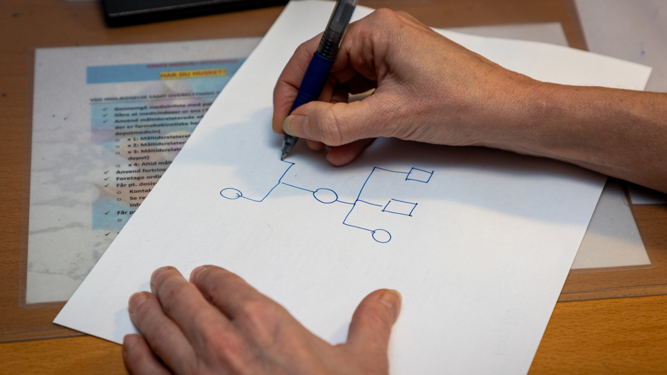 Hånd tegner stamtræ