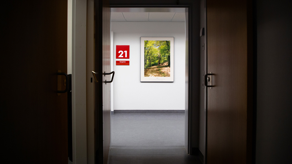 Foto af natur på gangen