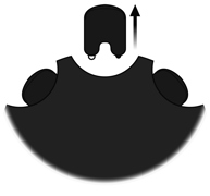Værktøjet