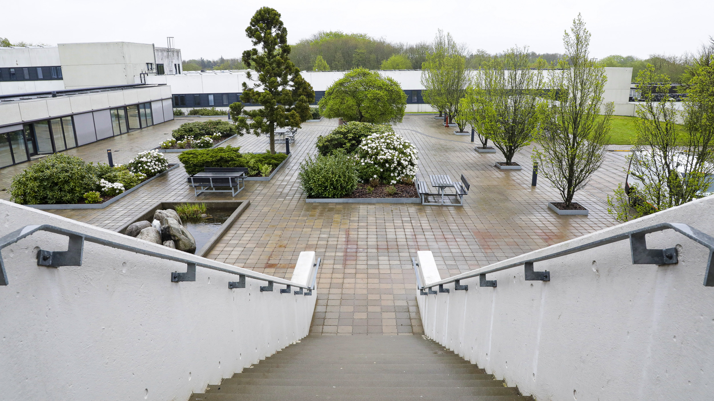 Udsigten fra indgangen til auditoriet