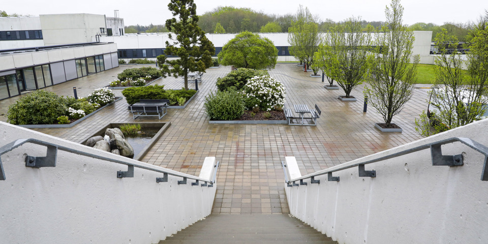 Udsigten fra indgangen til auditoriet