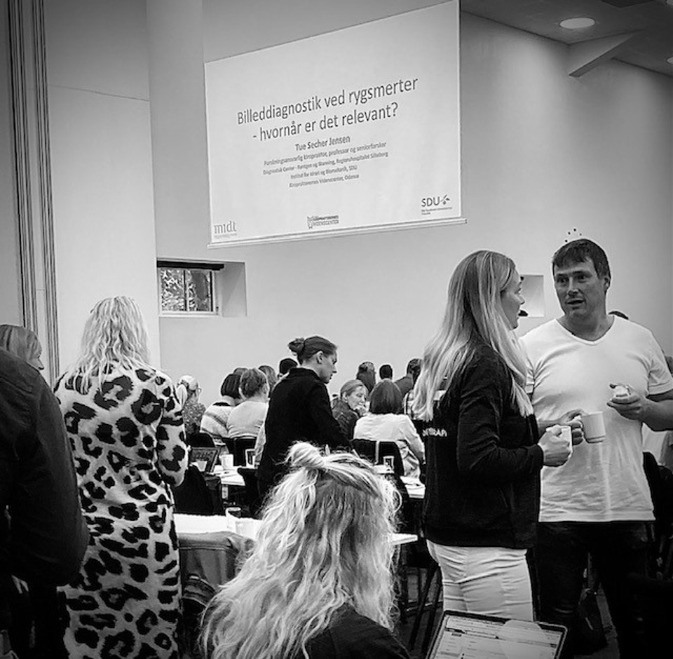 Deltagere ved Rygsymposium