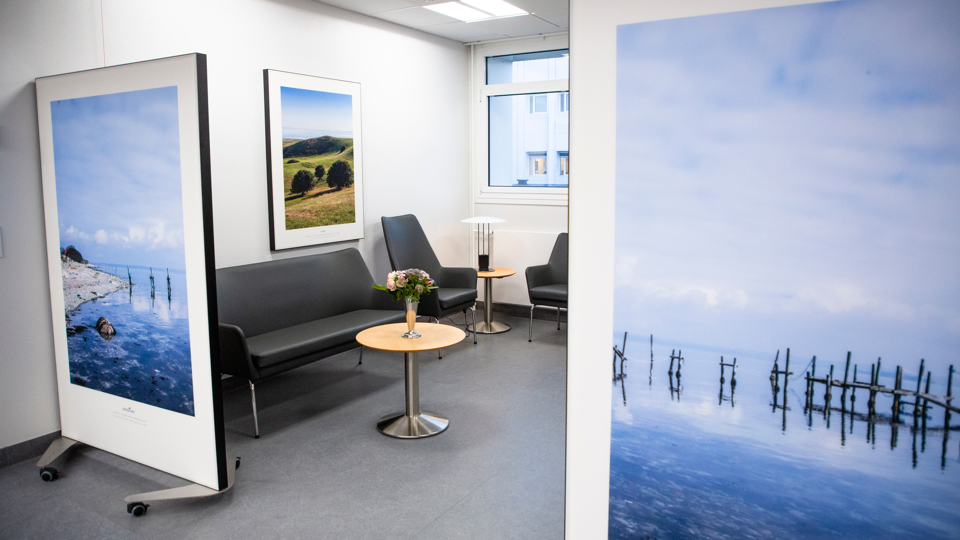 Venterum med naturmotiver